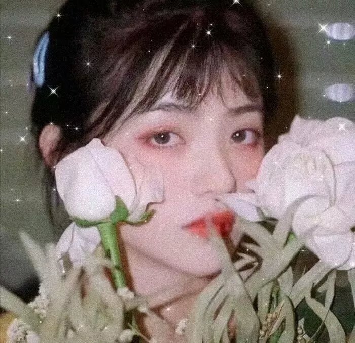 蔷薇少女